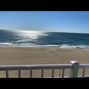 Meet your Posher, Daisy